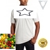 U.S. Polo Assn. Men's Solid Polo Shirt with Small Pony
