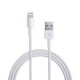 Apple Lightning to USB Cable (1 meter)