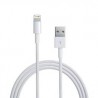 Apple Lightning to USB Cable (1 meter)